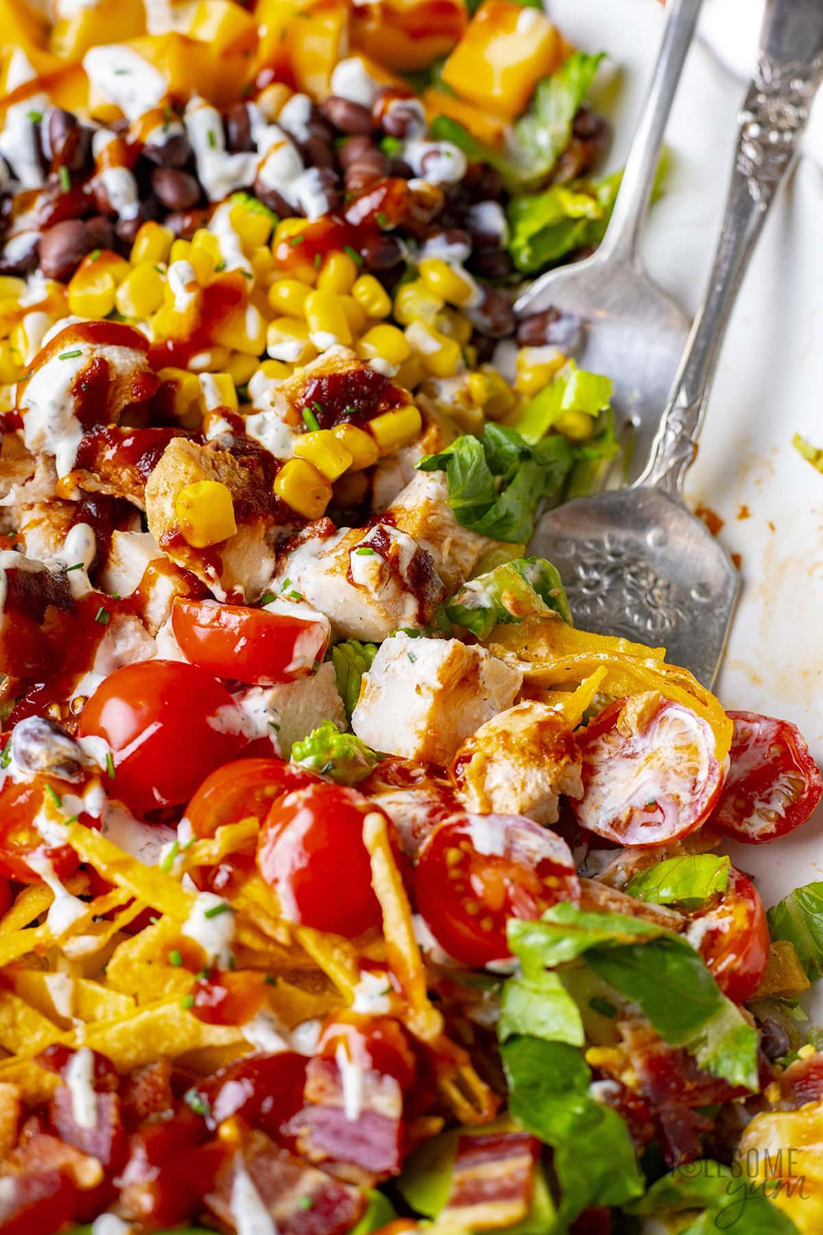 BBQ chickens salad with a fork in it.