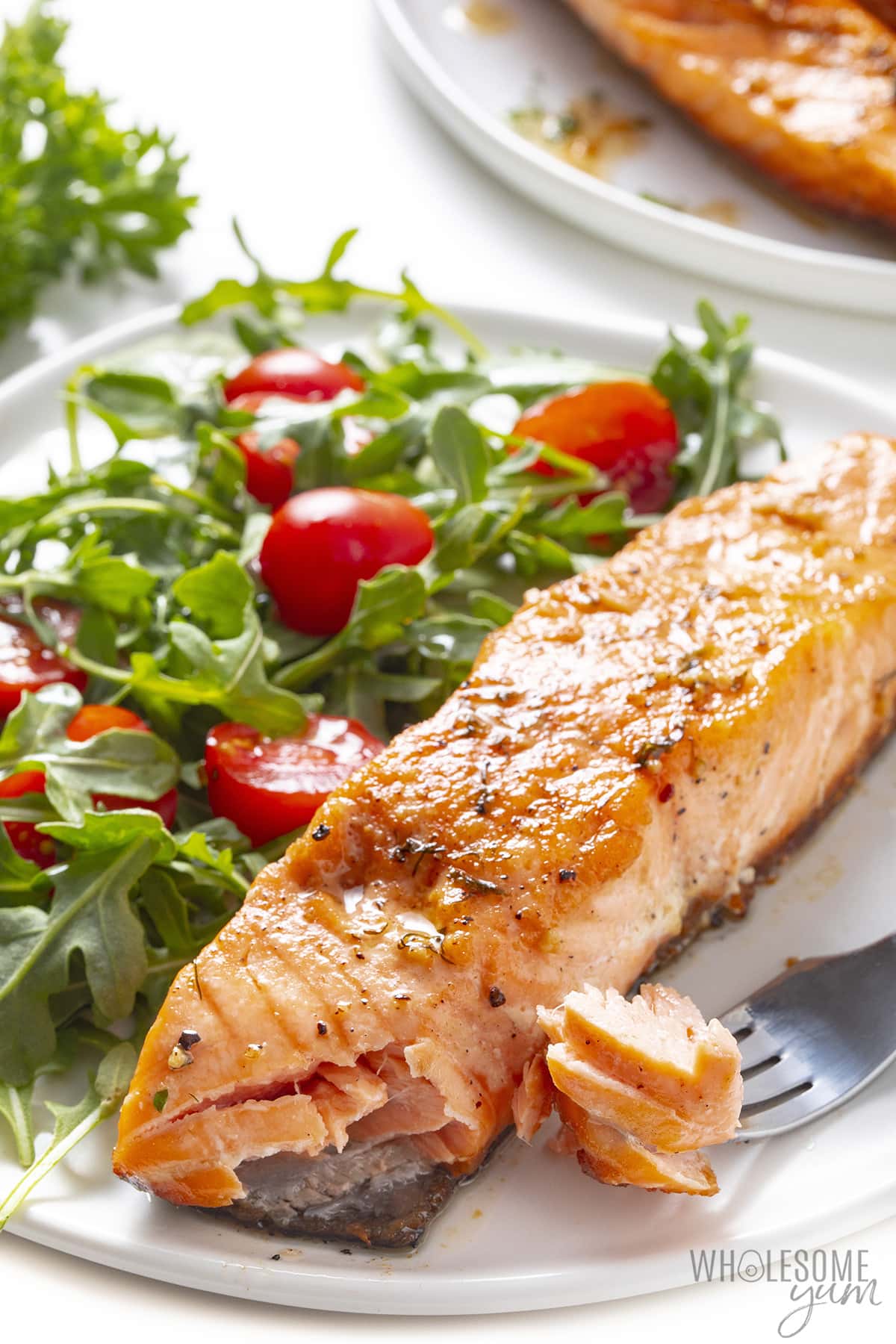 Piece of pan fried salmon on a plate.